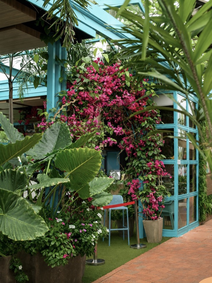Entrada de Vida con flores, plantas y marcos turquesa